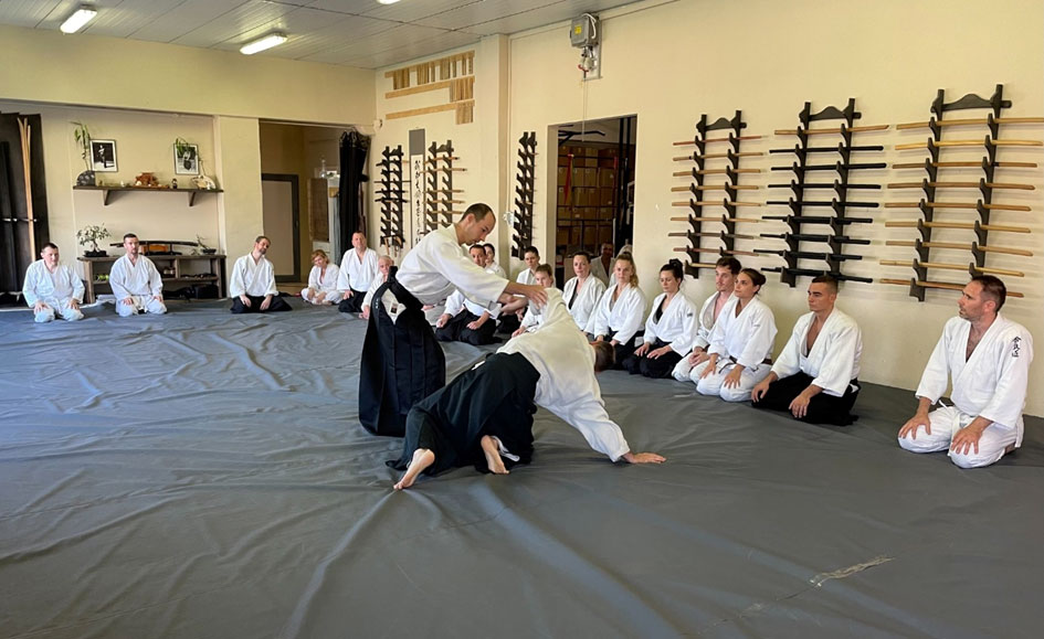 aikido seminar hungary 01