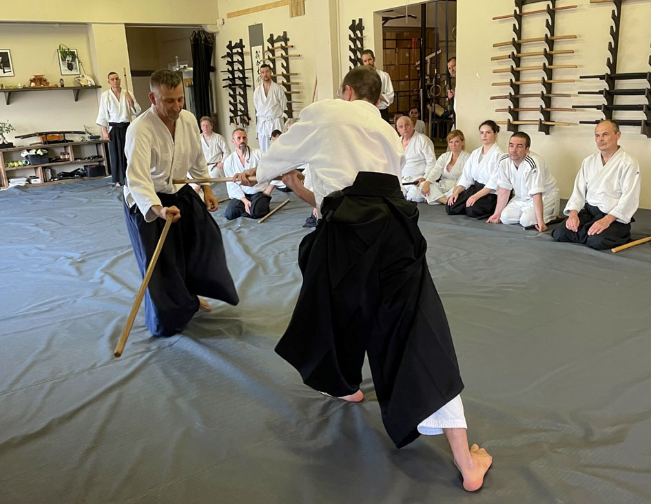 aikido seminar hungary 02