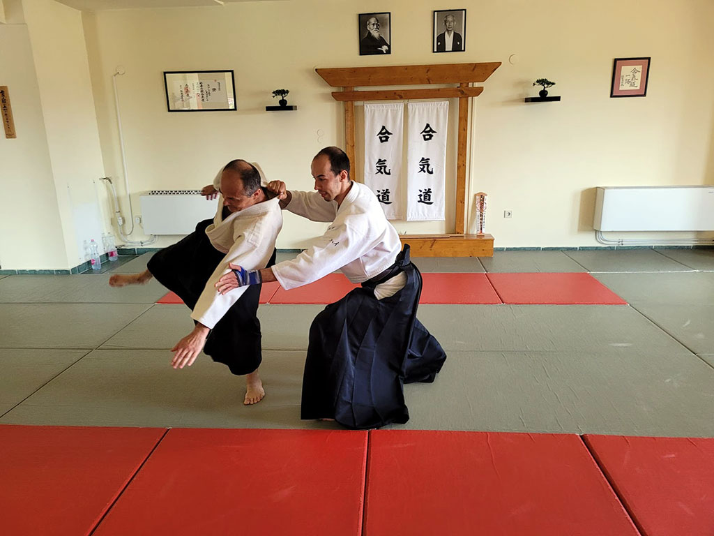 Entering and breaking the opponent’s balance. Irimi technique from Shomen-uchi attack.