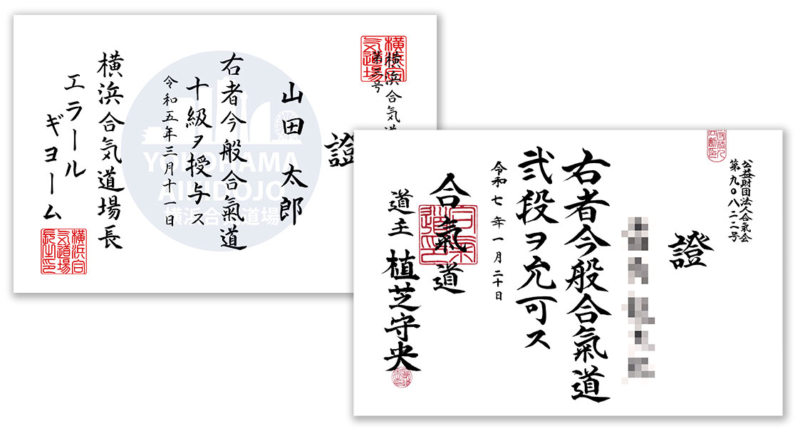 The Meaning of Grades in Aikido: A Comprehensive Exploration