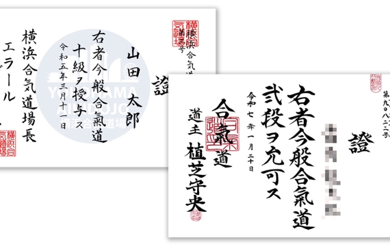 The Meaning of Grades in Aikido: A Comprehensive Exploration