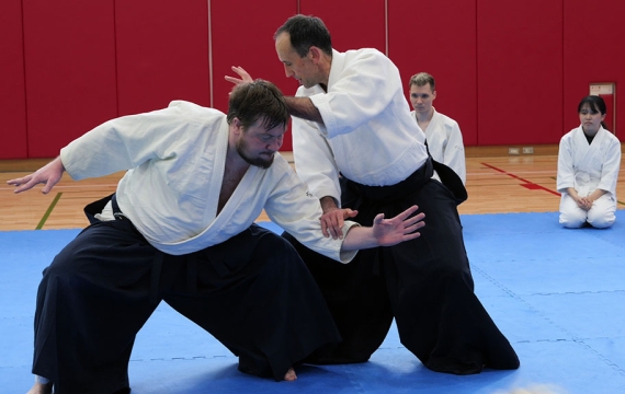 Cours Spécial avec Fabrice Croizé Sensei, 6ème dan Aikikai